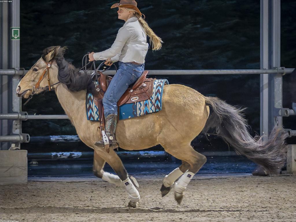 ការប្រកួតថ្មីៗ